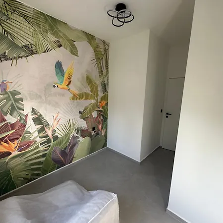 Design Belvedere Appartamento